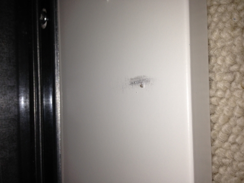 Photo by Elizabeth of Allmove by Reto Muhr - Large