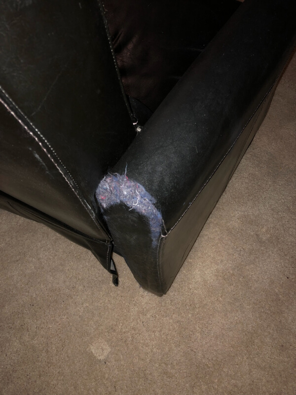 Photo by Milenne A of Transit Moving Systems - Large