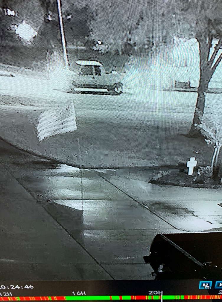 Photo by Tammy Willette of Carter Moving and Delivery - Large