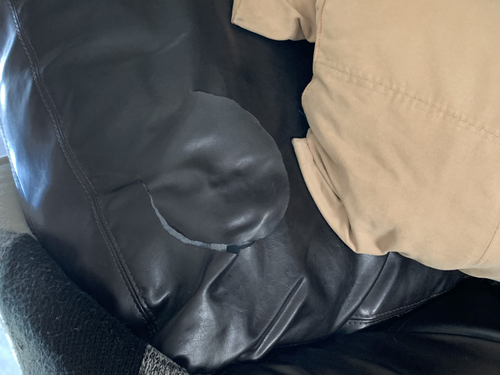 Photo by Cathy Lynch of Matt's Moving - Large