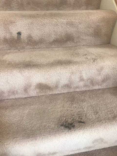 Photo by Ken Barrick of 1-800-GOT-JUNK? - Large