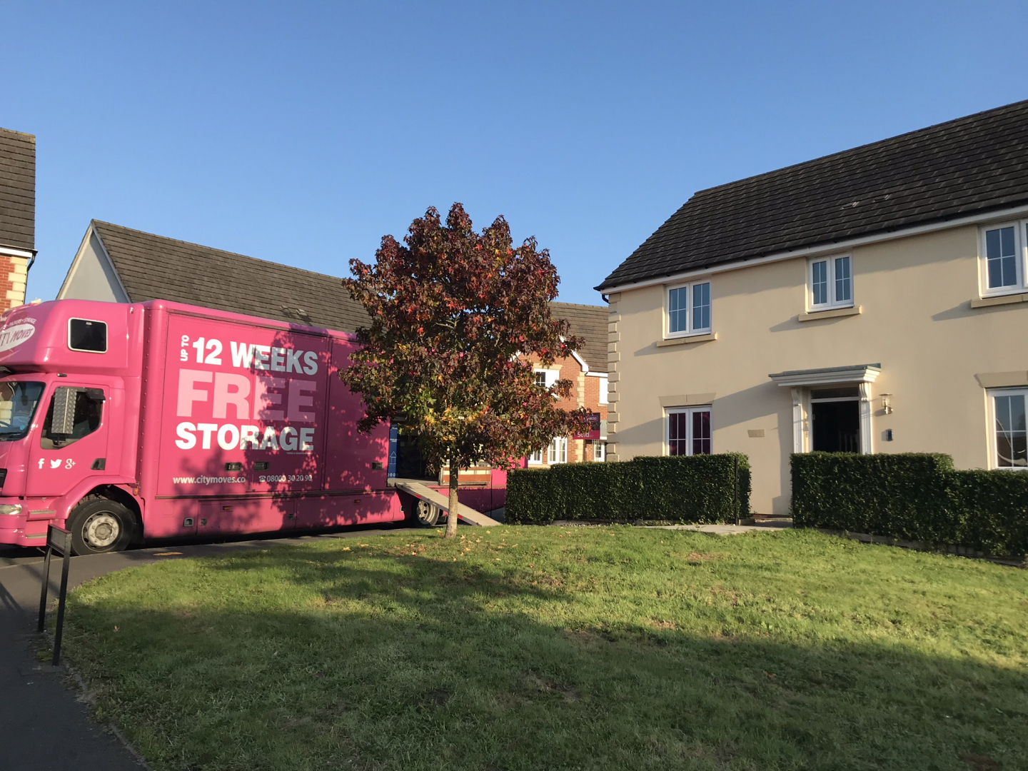 Photo by Sharon Frewin of City Moves - Large