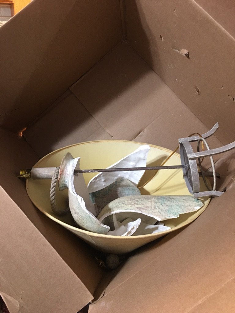 Photo by Dobrita Munteanu of Jet Moving And Storage - Large