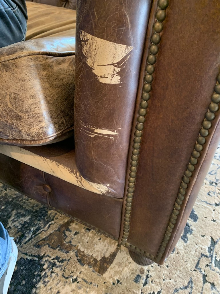 Second photo by Kathryn Rich of Blue Whale Moving & Storage - Large