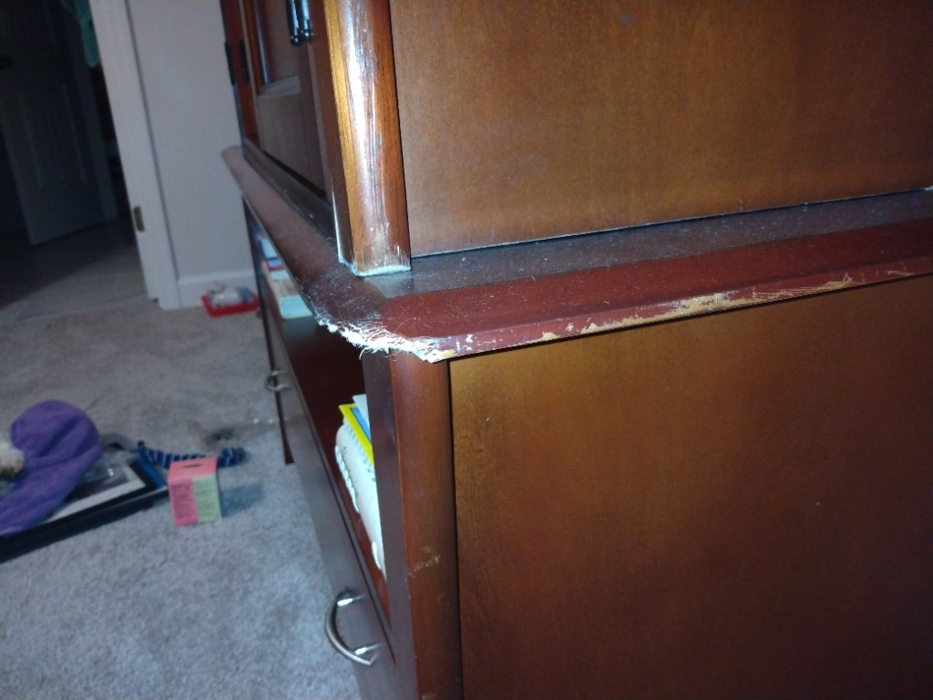 Photo by Deborah Bentley of Safebound Moving & Storage - Large