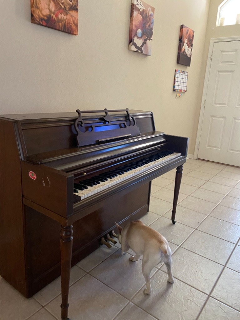 Photo by Erin Redline of Woody and Sons Moving - Large