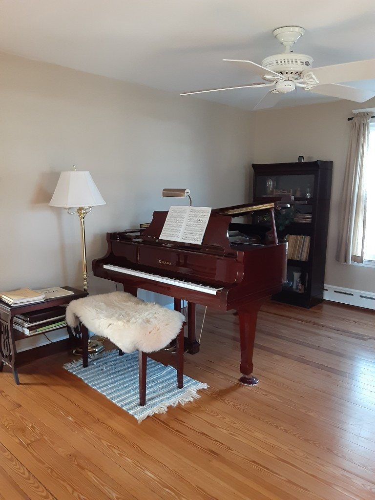 Photo by Wayne Guzzi of Palmieri Movers - Large