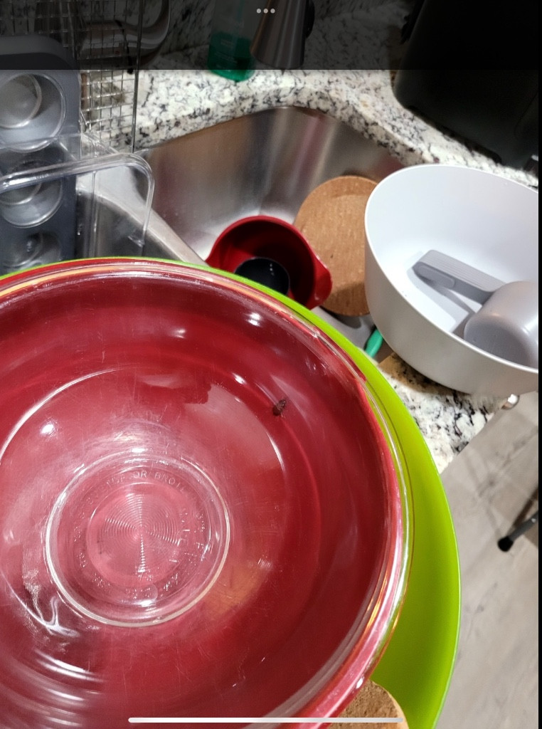 Photo by Terene Sanders of Orange Movers - Large