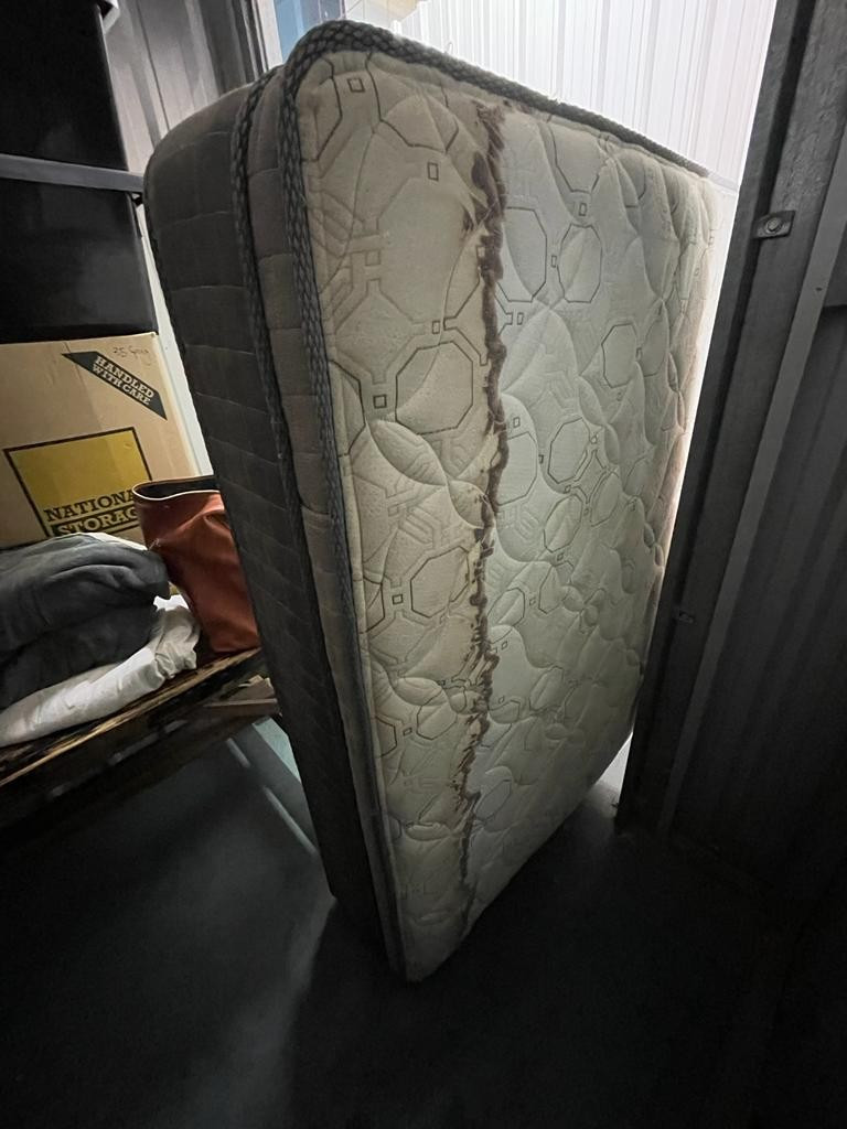 Photo by Victoria Boyd of CBD Movers AU - Large