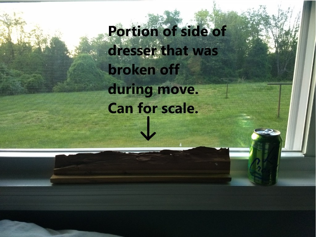 Second photo by James Hayslett of Patterson Moving LLC - Large