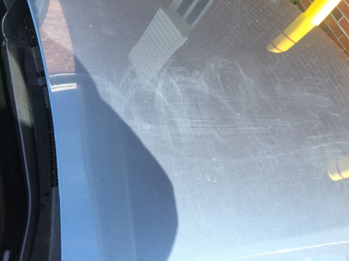 Photo by Brandon of Montway Auto Transport - Large