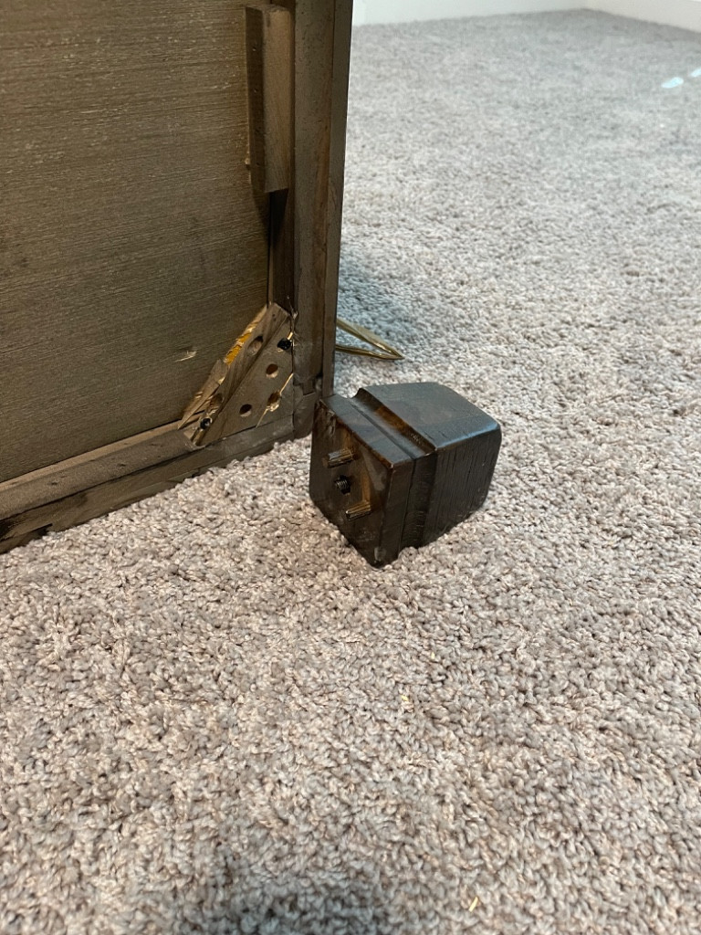 Photo by Julia Fritz of Zippy Shell Incorporated - Large