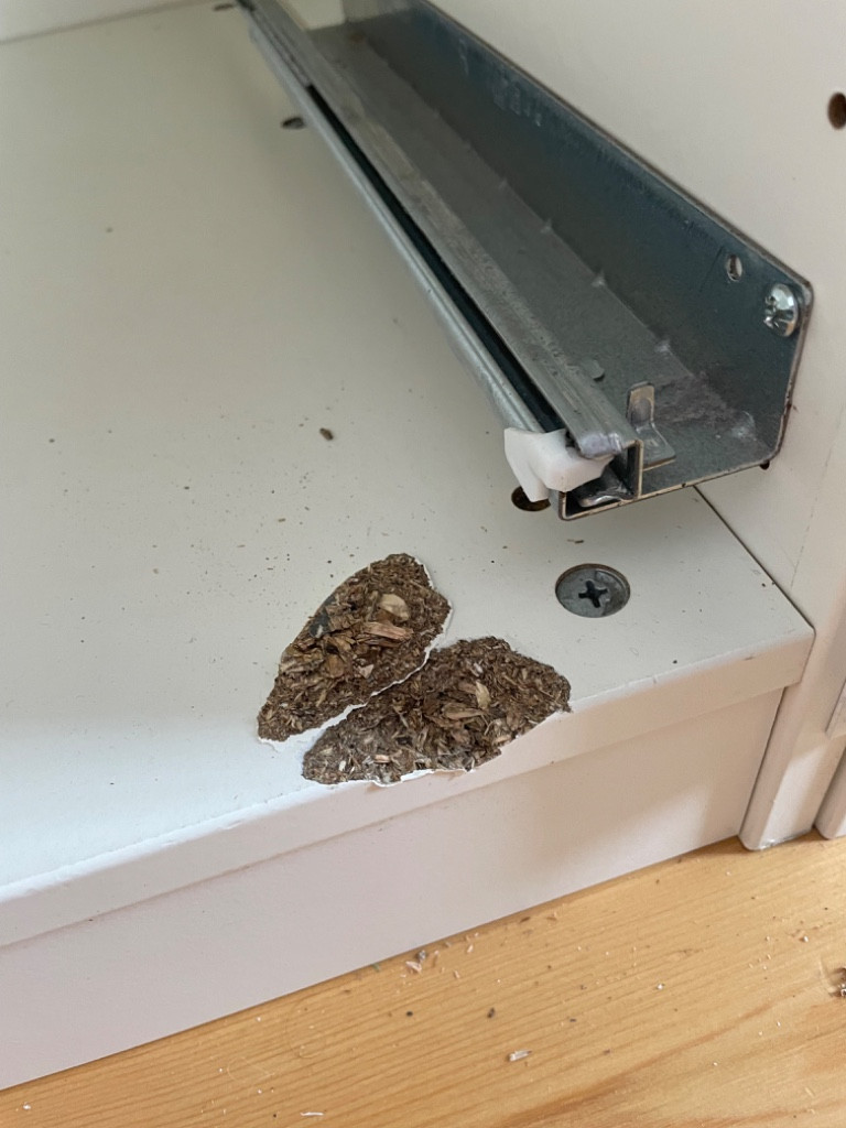 Photo by Anne Magdeburg of Jan Meier - Bremer Umzugsprofis - Large