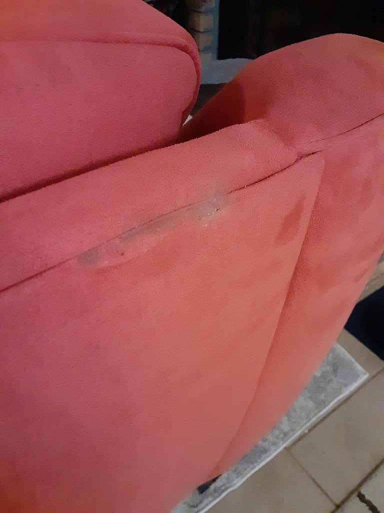 Second photo by Andrea Joeys of Connected Van Lines - Large