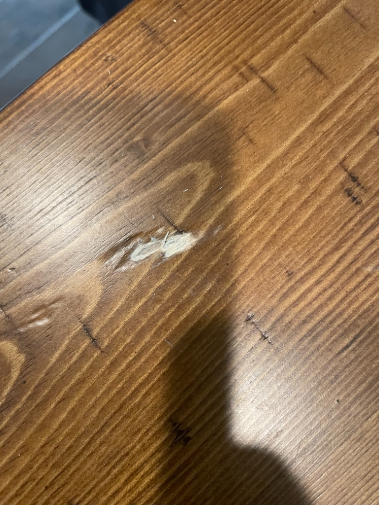 Second photo by Dena Coston of Revolution Moving Systems - Large