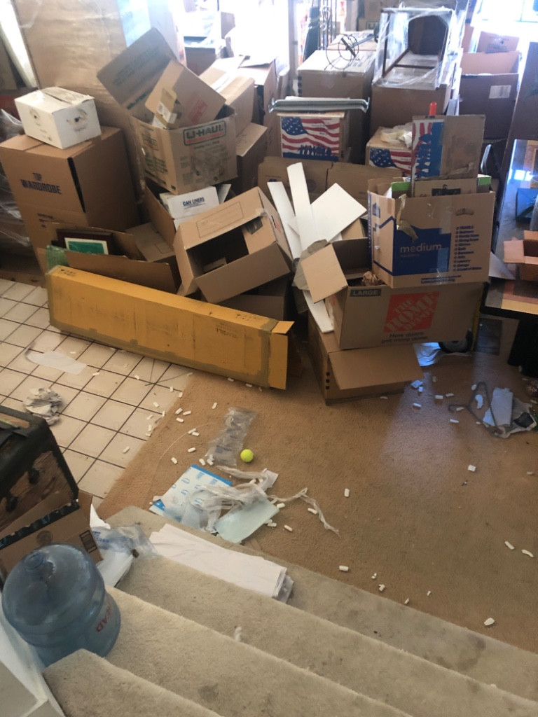 Second photo by Leigh Hansch of Best Fit Movers - Large