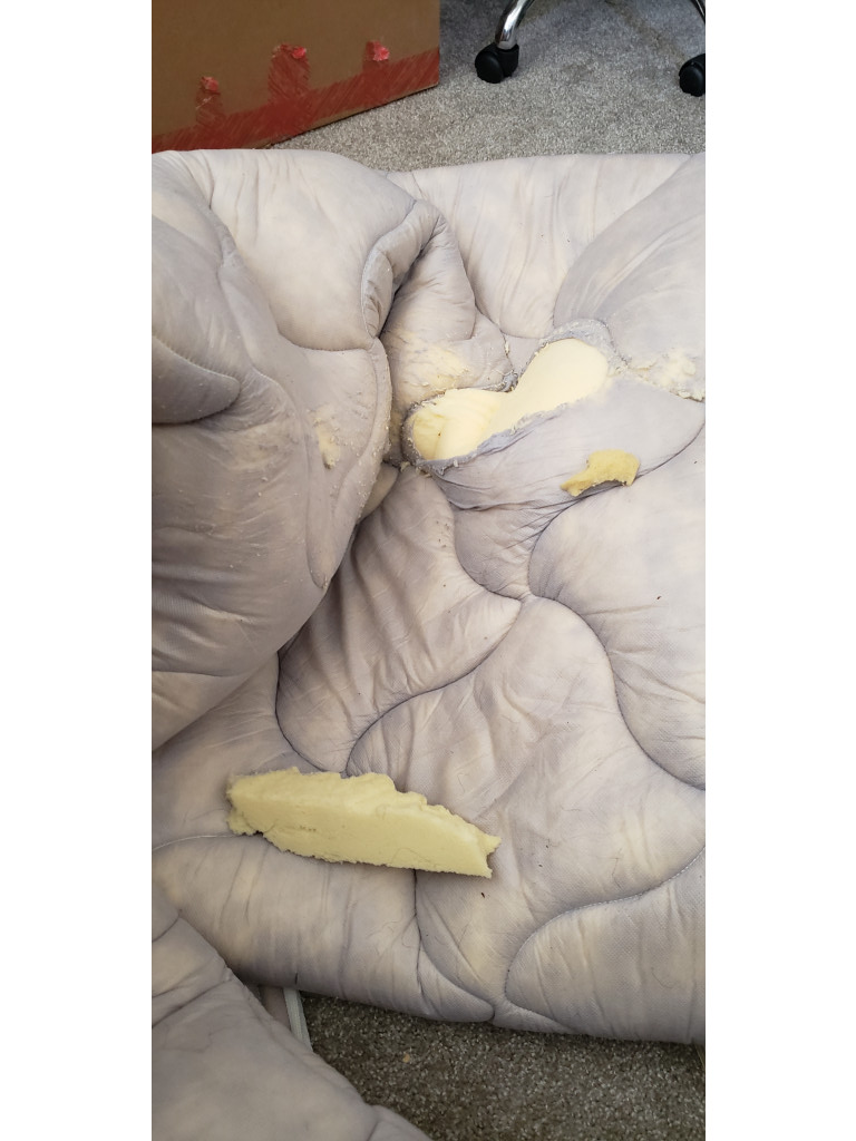 Photo by Faith Jones of EZ Movers - Large