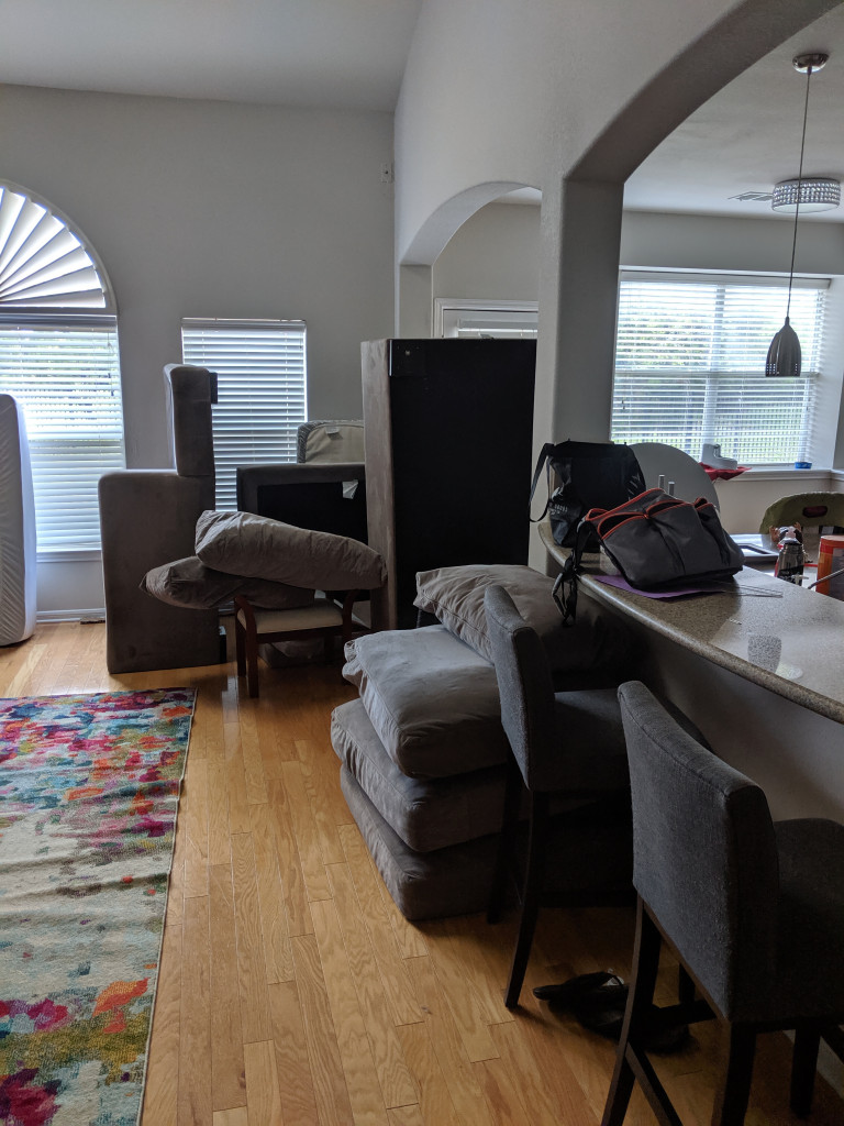 Photo by Mickey Molad of Blue Whale Moving & Storage - Large