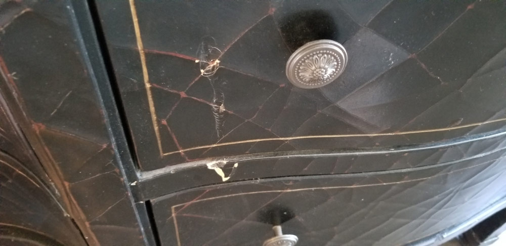 Photo by Warren Mcgrew of Motivated Movers - Large