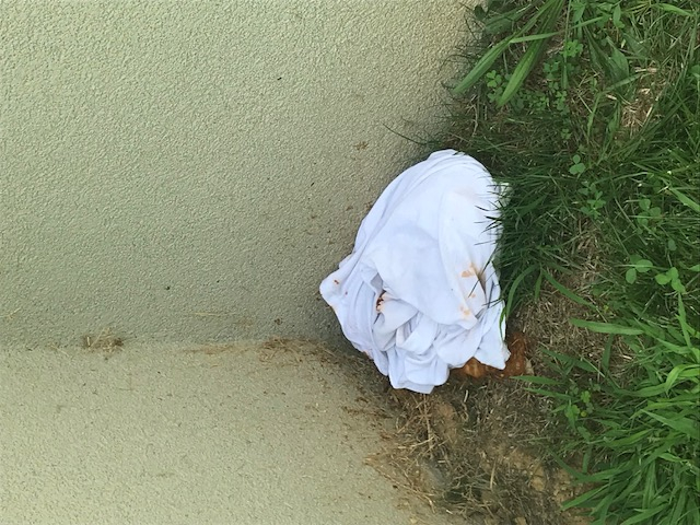 Second photo by G Smith of Best Interstate Moving and Storage - Large