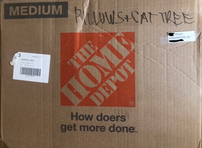 Photo by Emily Premo of BLVD Moving - Large