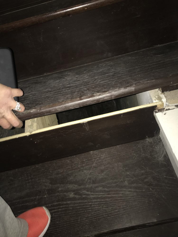 Photo by Sean of Presidential Moving Services - Large