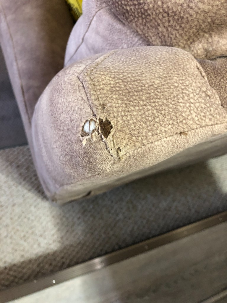 Photo by Jeff Novak of Premier Relocations - Large