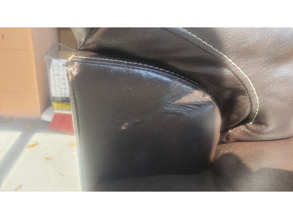 Photo by Shawn White of A Couple Of Movers - Large