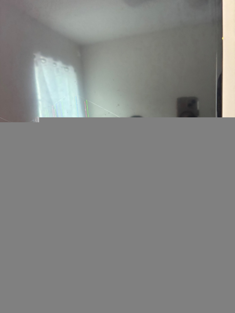 Second photo by Sha Pitts of Southern Elite Van Lines - Large