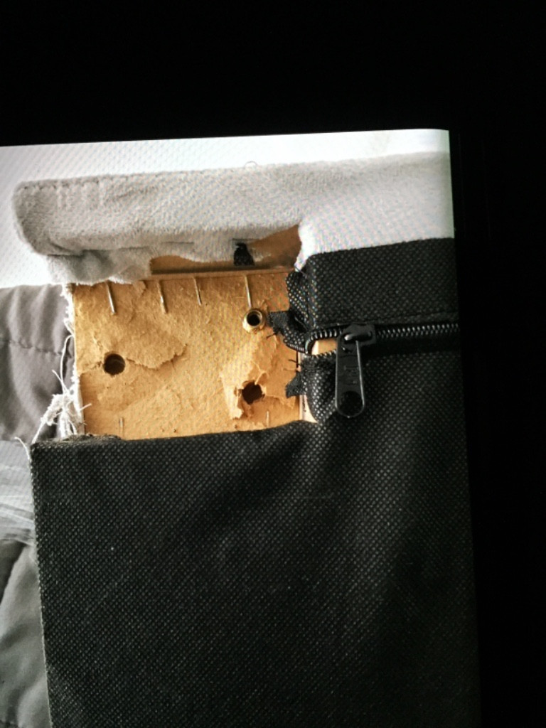 Photo by Trisha Lee of Canadian National Van Lines - Large