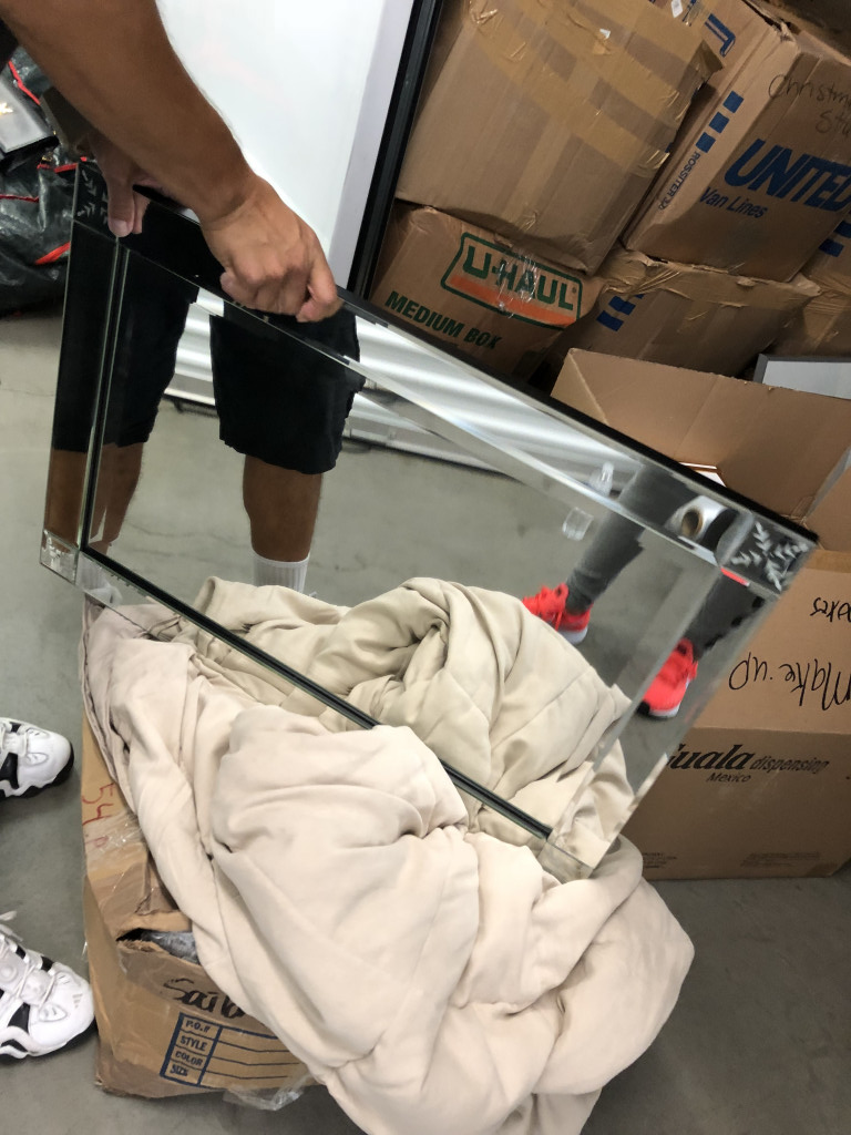 Second photo by Neelam Thadhani of Ace Movers - Large