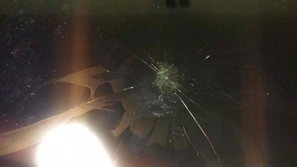 Second photo by Jose of Zippy Shell Incorporated - Large