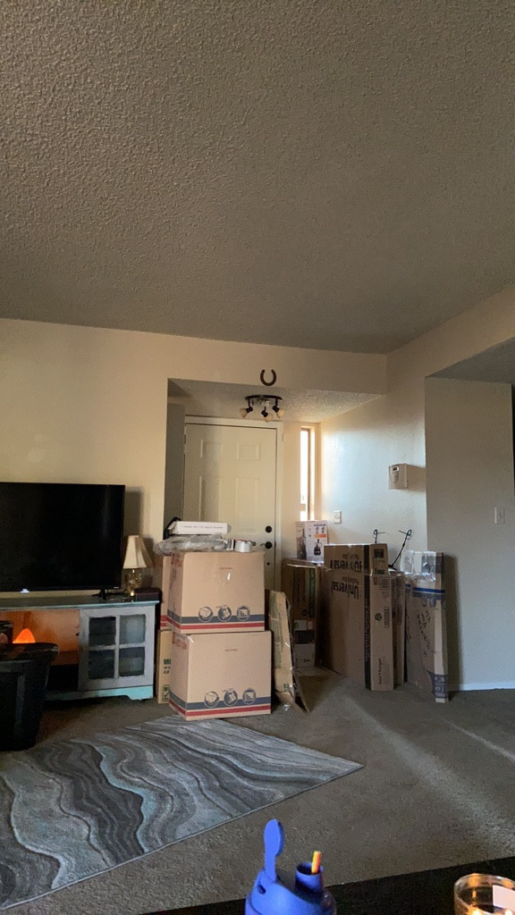 Second photo by Amy Cross of Moving & Storage Squad LLC - Large