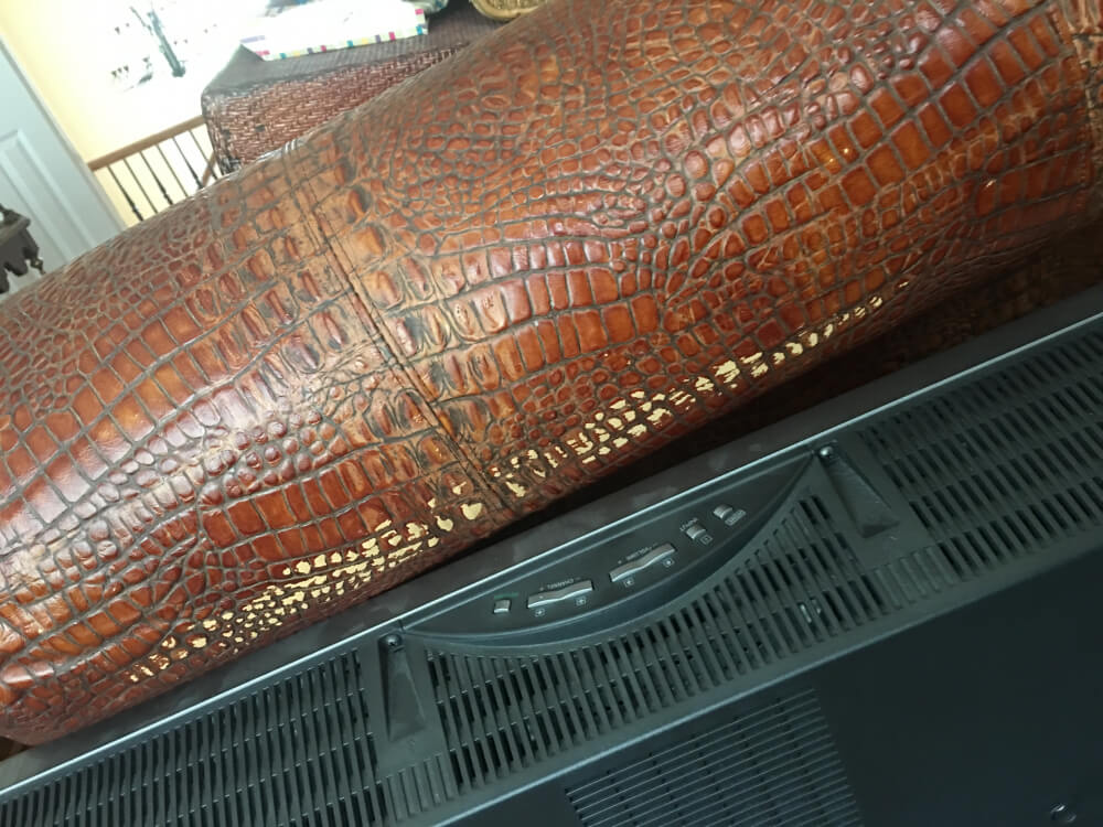 Photo by Merrie Lucas of Two Men and a Truck - Large