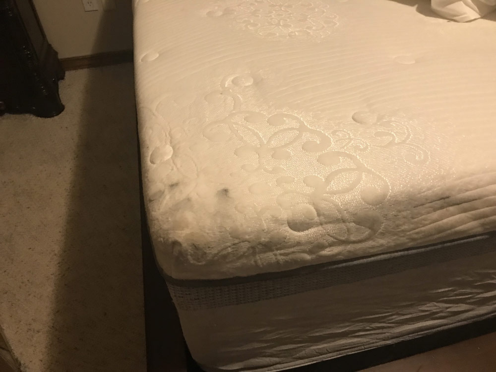 Second photo by Fernando of Public Moving Services - Large