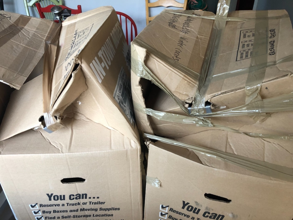 Photo by Lynn Heberr of True Maple Moving - Large