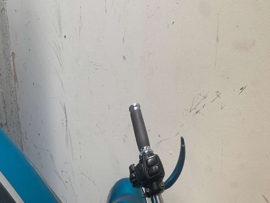 Photo by Felicia Carr of Trig Moving and Storage - Large