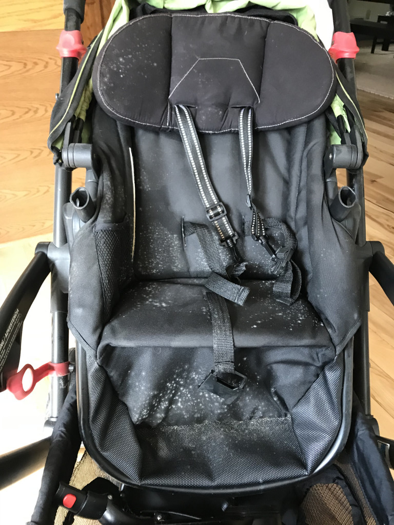 Second photo by Gloria Jackson of Summit Van Lines - Large