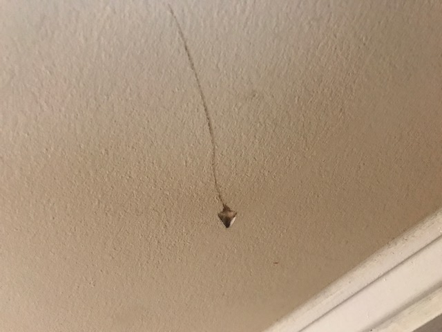 Photo by Matt Turbedsky of Moving Simplified - Large