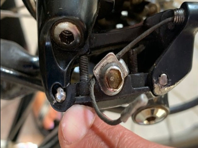 Photo by Robert Guynn of Liberty Moving Group - Large