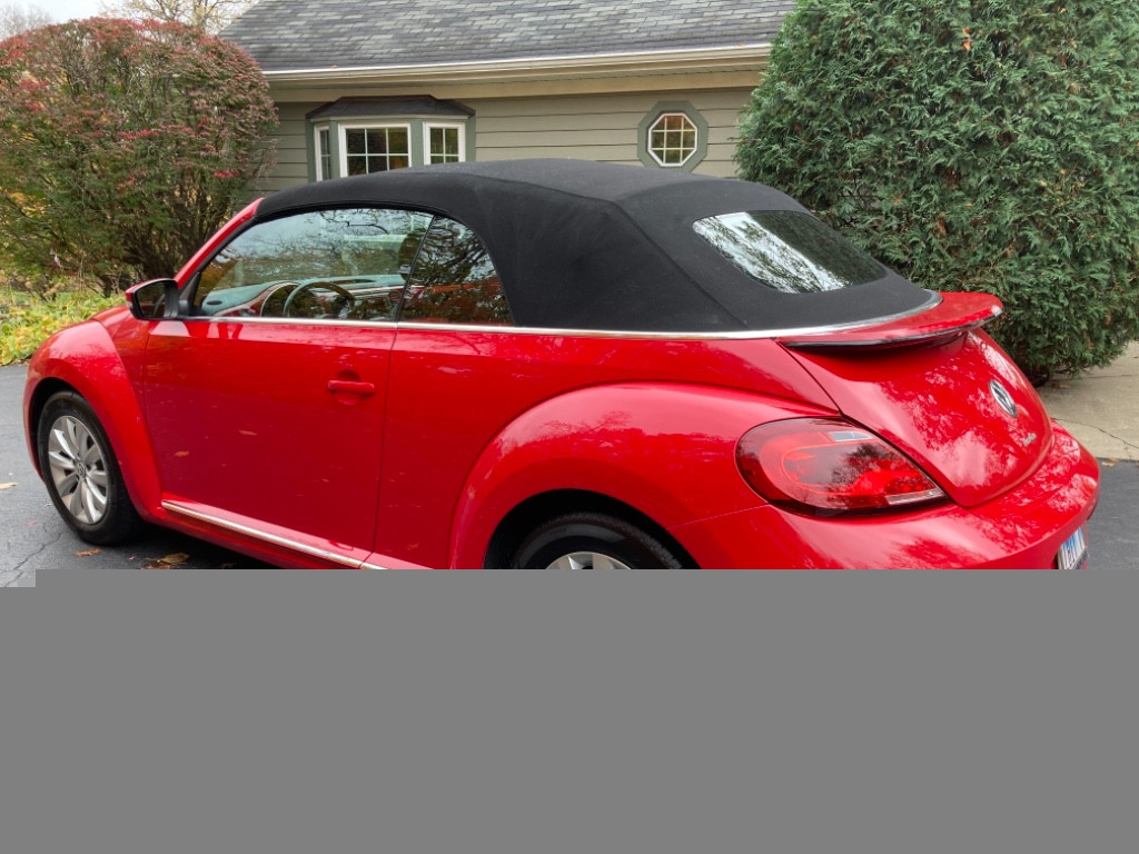 Photo by Kristina Venskus of Ship a Car - Large