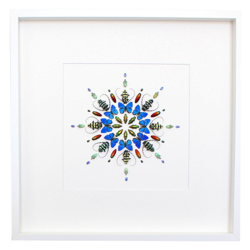 Photo by David of Grace Removals Group - Large