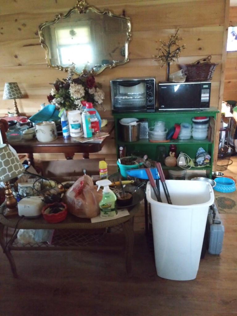 Photo by Cindy Lucas of Navistar Van Lines LLC - Large