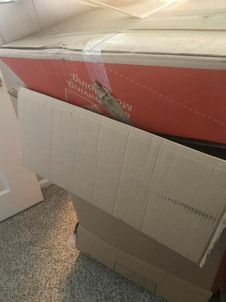 Second photo by Hannah Mende of ABC Moving Systems Inc - Large