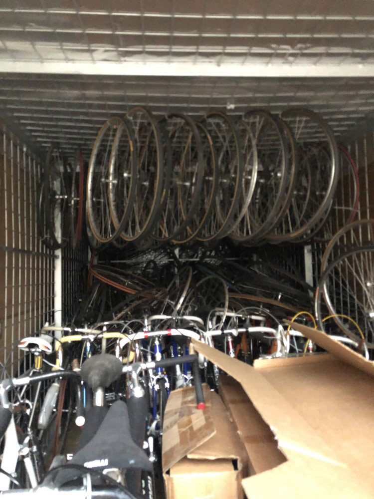 Second photo by Jerry Eu of Zippy Shell Incorporated - Large