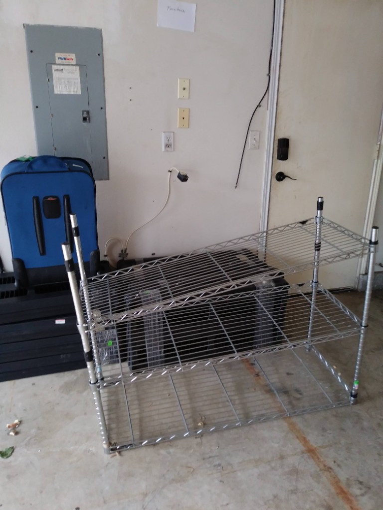 Second photo by Kate Stout of Moving Nation - Large