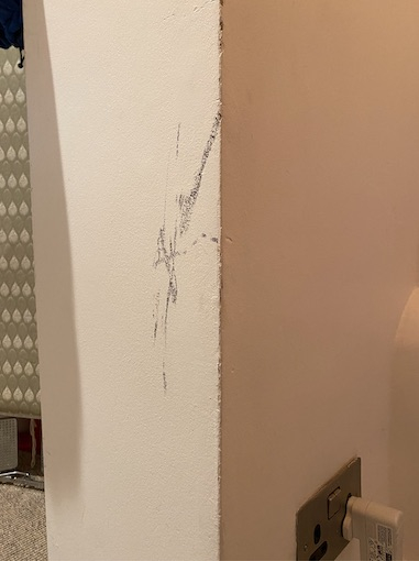 Photo by Yuki Sumner of AnyVan - Large