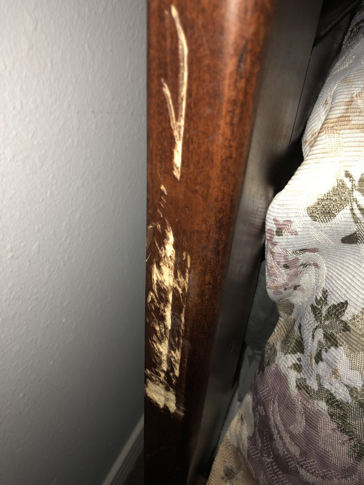 Photo by L Lucero of Zippy Shell Incorporated - Large