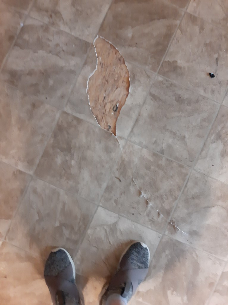 Second photo by Kay Vanfosson of Tazewell Moving Company - Large