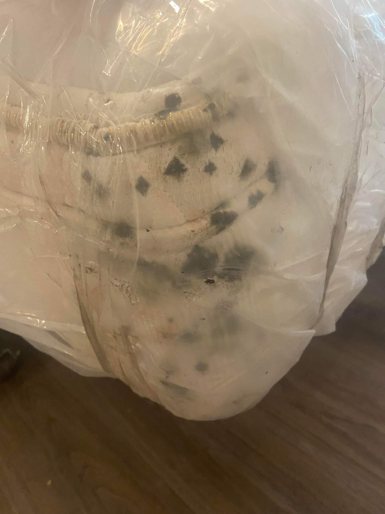 Photo by Janet Yorke of Canadian National Van Lines - Large